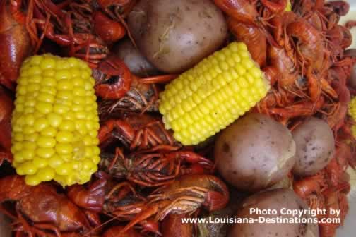 Boiled Louisiana crawfish, corn on the cob, and new potatoes, hot out of the boiler