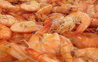 Louisiana Boiled Shrimp