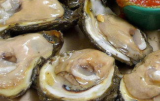 Louisiana Oysters on the Half Shell
