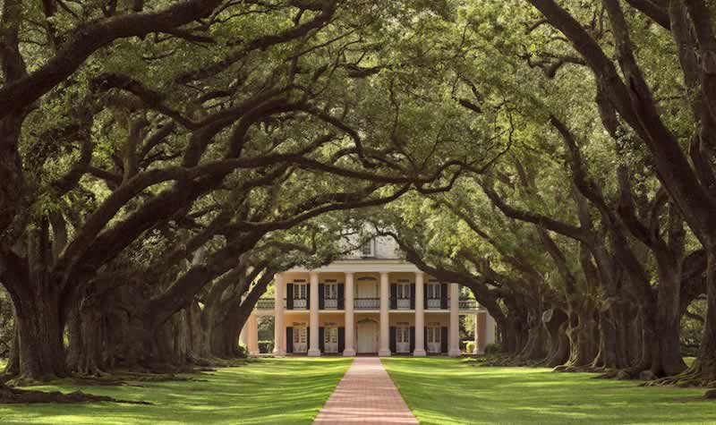 Oak Alley on the Mississippi River