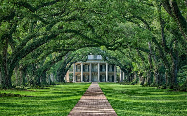 Oak Alley Plantation in Vacherie, Louisiana, on the Mississippi River between New Orleans and Baton Rouge
