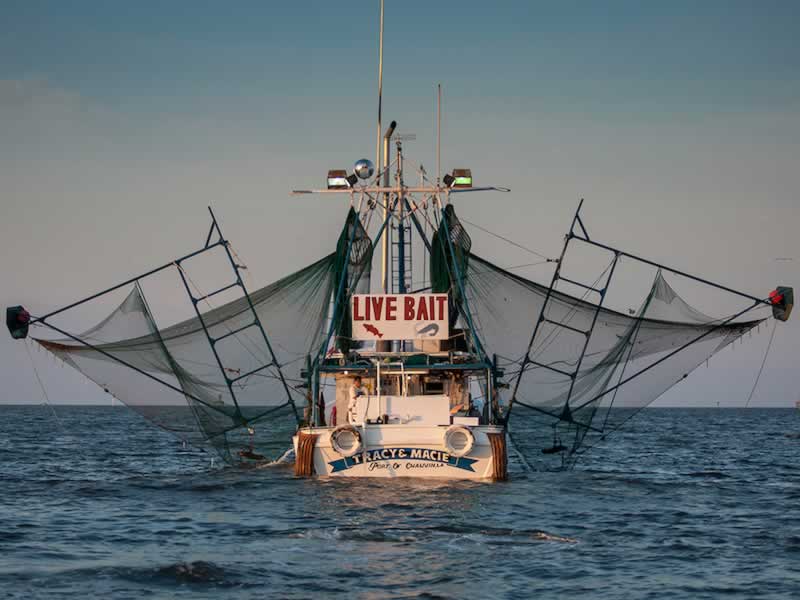 Shrimp boat off the Louisiana coast in the Gulf of Mexico