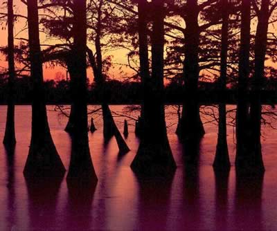 Sunset in the Atchafalaya Basin swamp in Louisiana