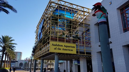 The Audubon Aquarium of the Americas