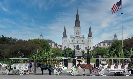 Carriage Rides ... great way to see New Orleans and the French Quarter