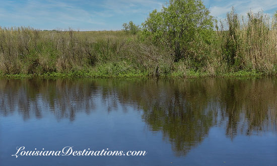 Canal with marsh grass at Pecan Island, Louisiana, one of the locales for filming of the hit TV Series "Swamp People"
