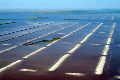 Terraces created in open water to encourage marsh creation near Pecan Island, LA.
