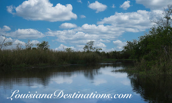Marsh scene at Pecan Island, Louisiana, one of the filming locations of the TV series "Swamp People"