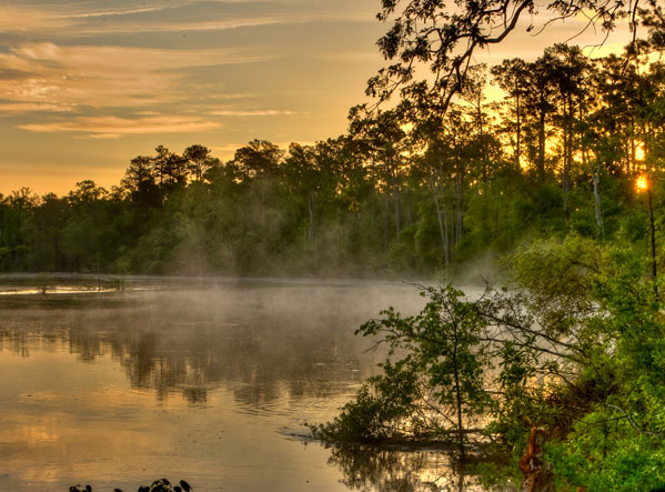 Foggy sunrise at a Louisiana State Park