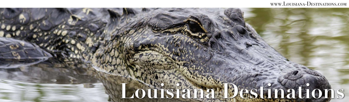 Swamp People TV show on the History Channel, filmed in Louisiana