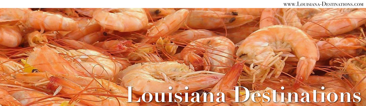 Louisiana Destinations ... Travel Across the Bayou State