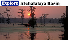 Explore the massive Atchafalaya Basin Swamp in Louisiana