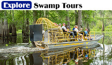 Take a boat tour of the many swamps near Houma