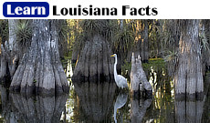Louisiana facts, parishes, population, state seal, state flag, largest cities, and state capitol