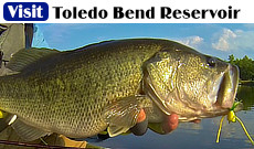 Visit Toledo Bend Reservoir, south of Shreveport, near Many and Leesville